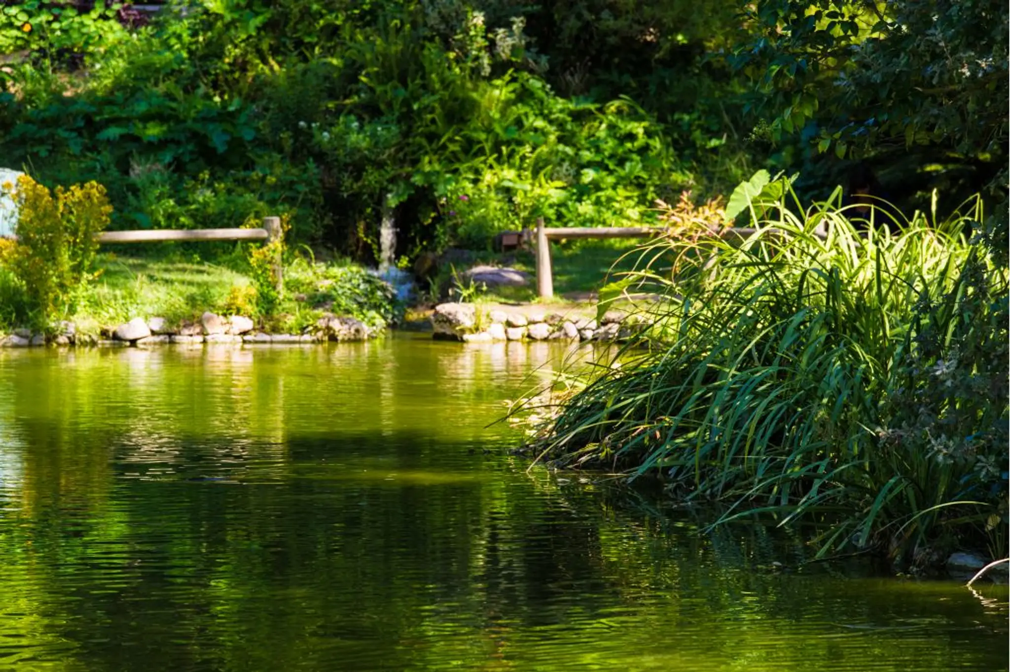 Saint Cyprien Football Association