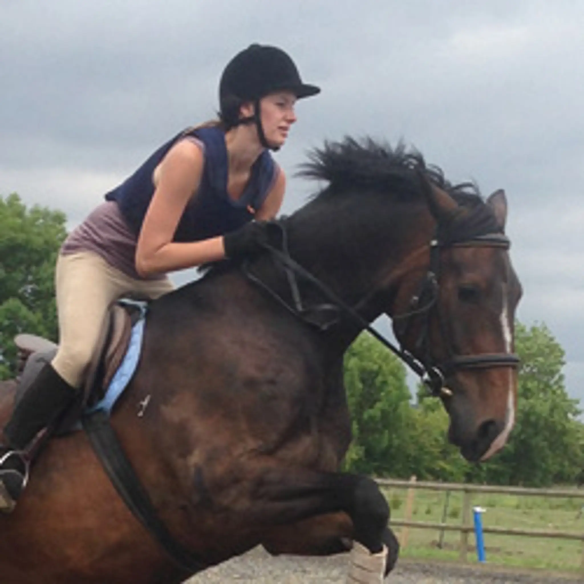 Littlefield Manor Horse Riding School. Licence number AWRL049