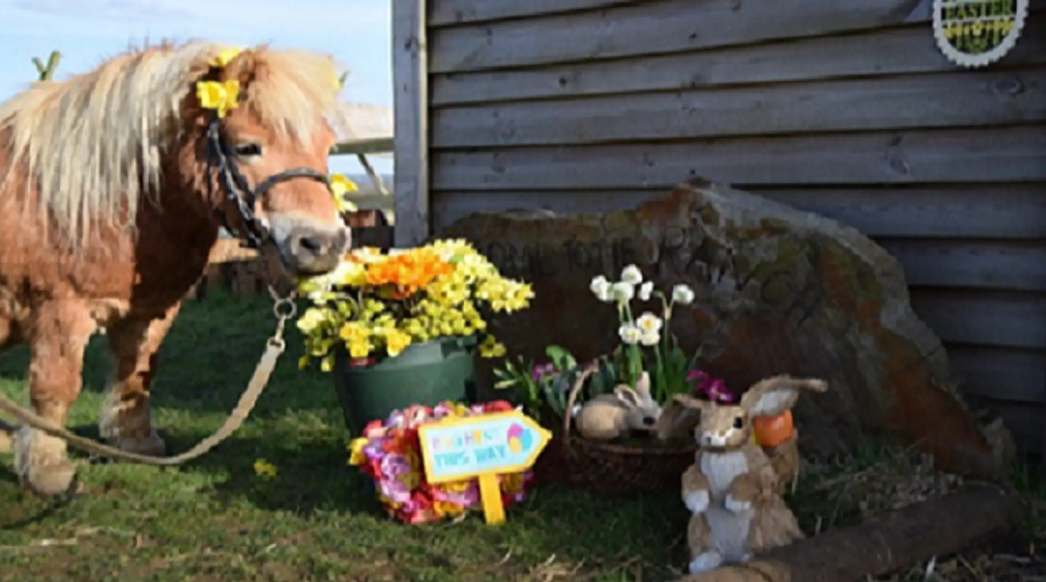 Wapley Riding Stables