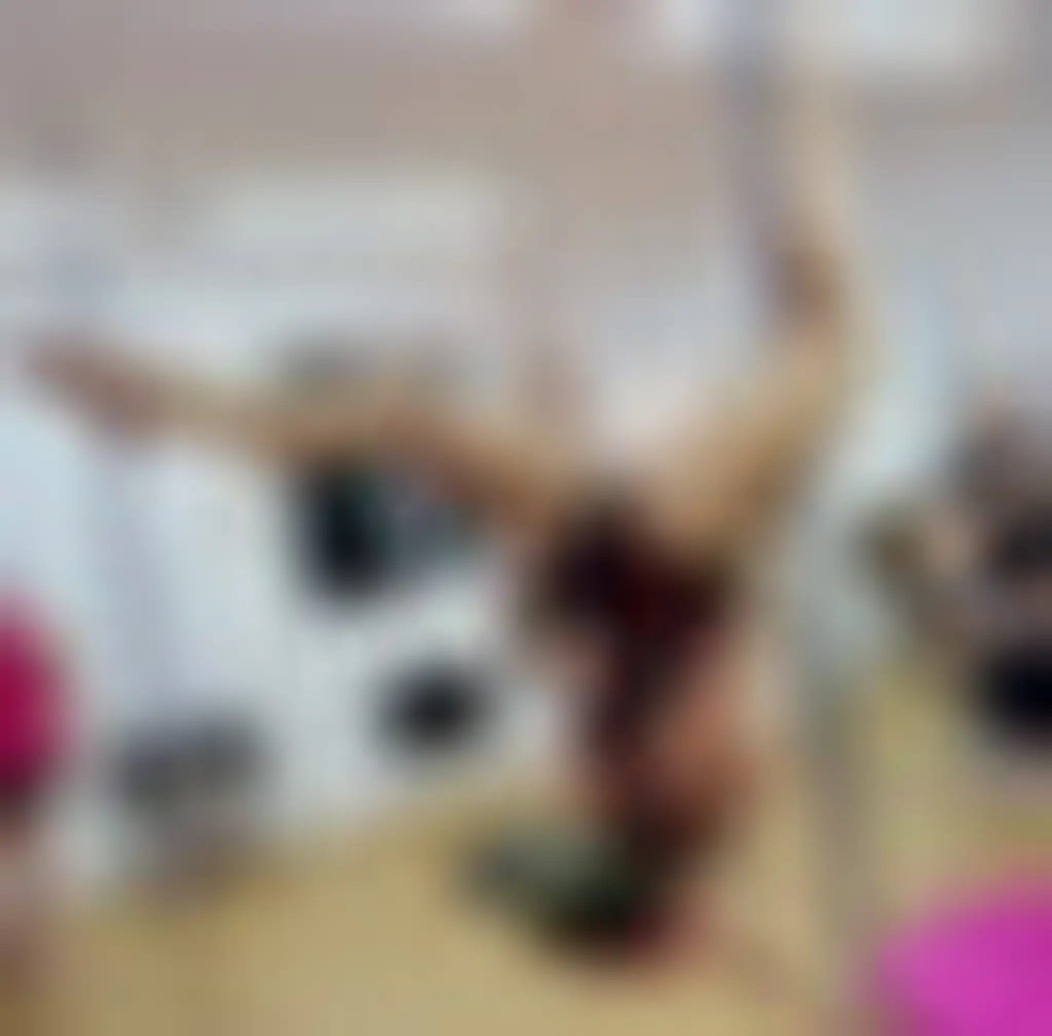 Chrome dance - pole fitness