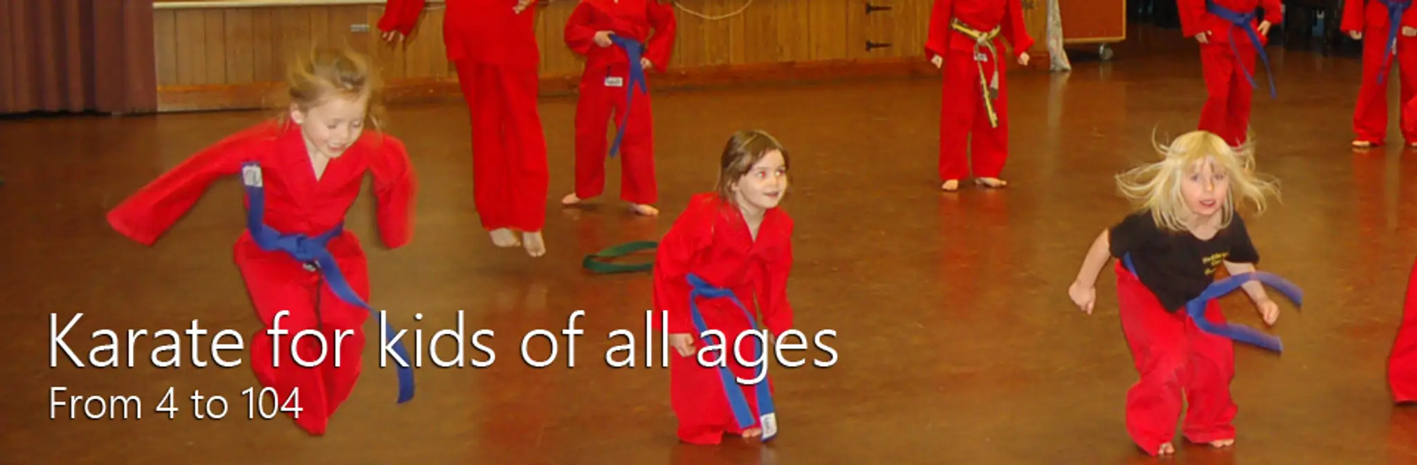 Huddersfield Cobras Freestyle Karate Club