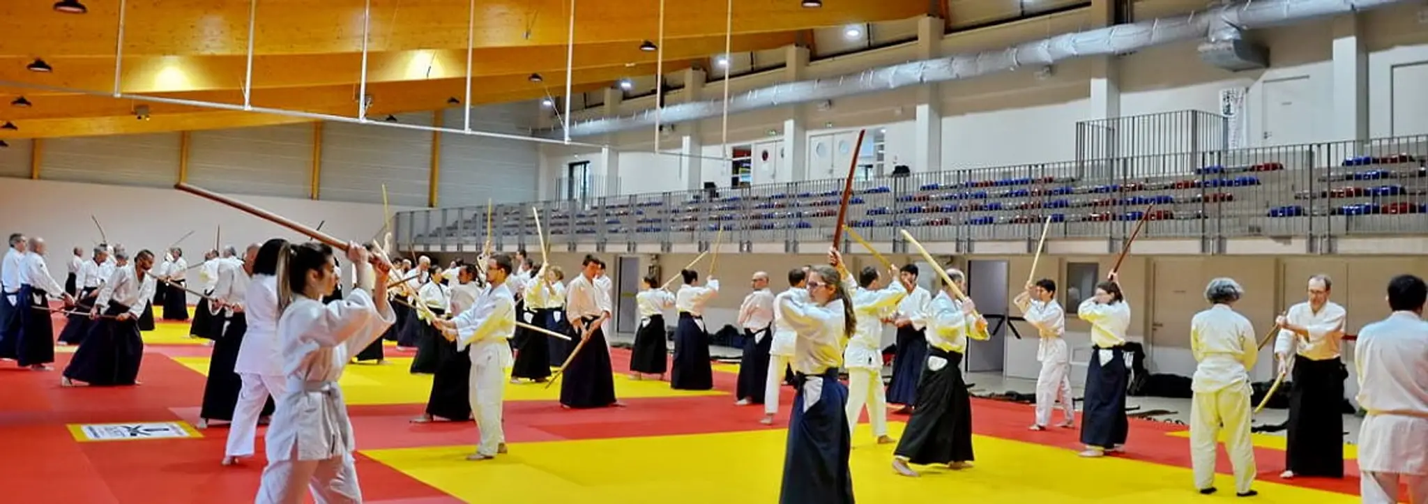 Aikido Greater Lyon Epa-Ista