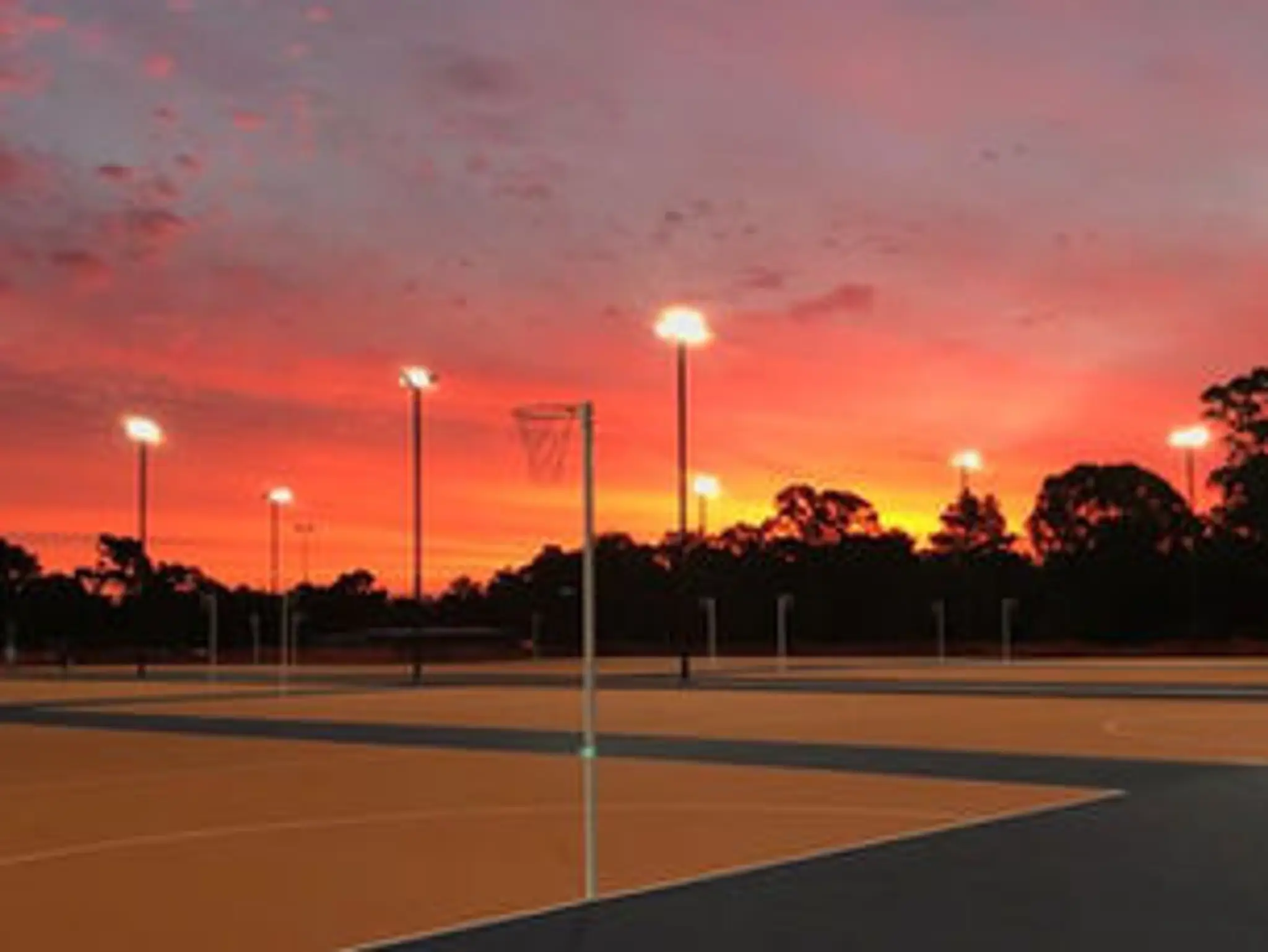 Netball courts