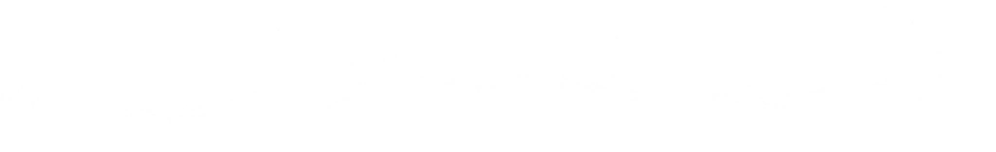 Brazilian Soccer Schools Canada