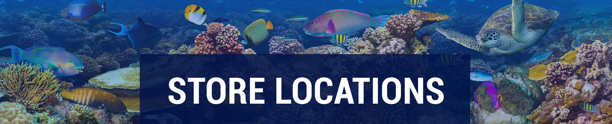 Big Al's Aquarium Supercentres - Vaughan