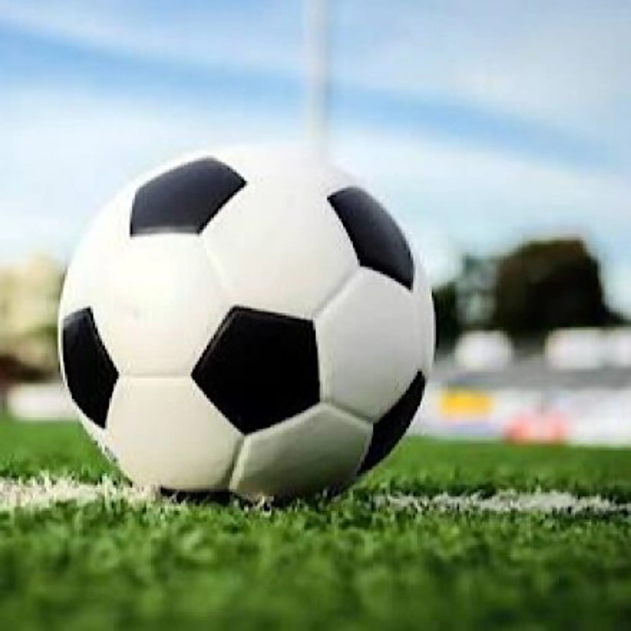 Loftus Rovers Football Club