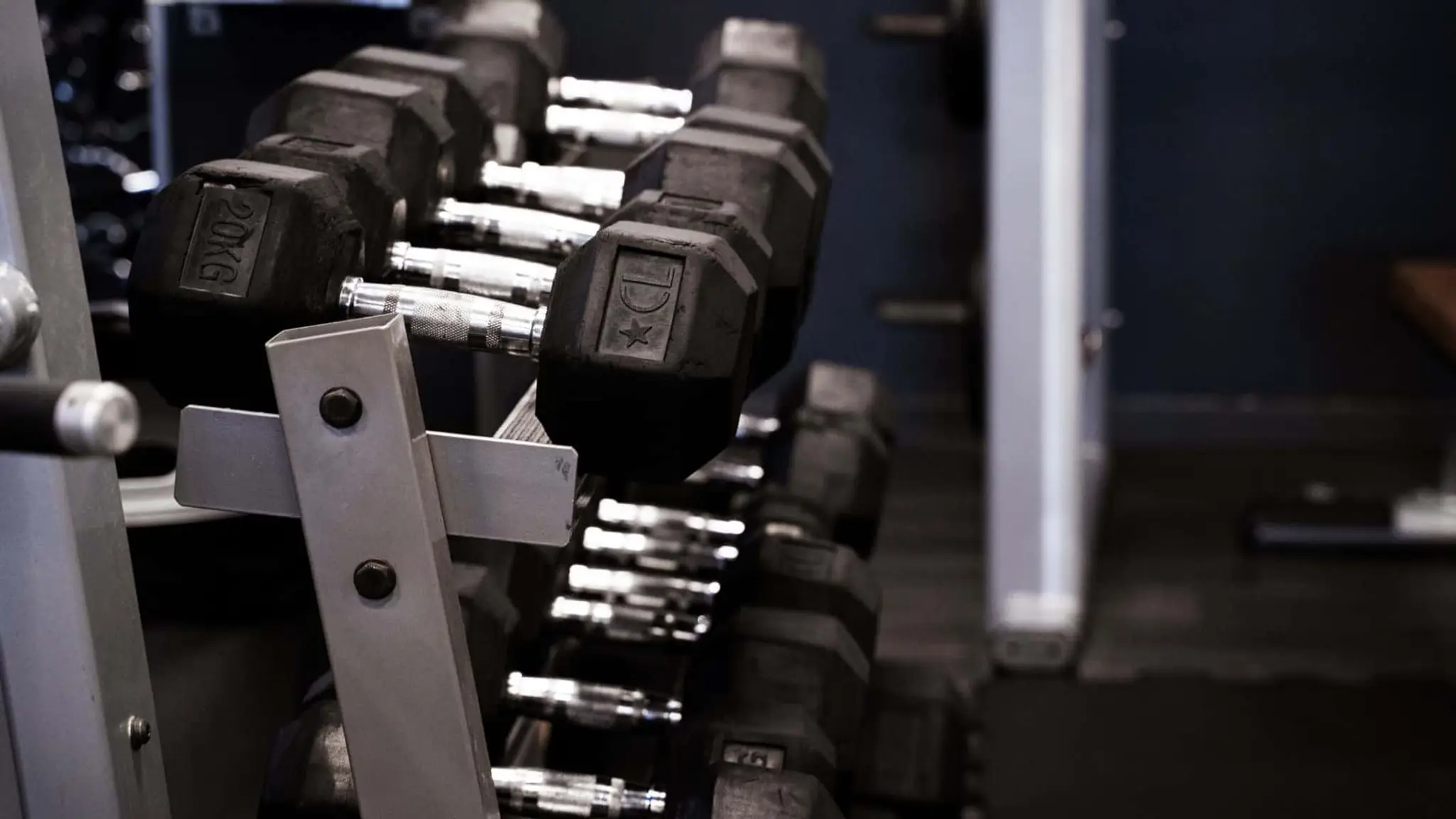 Area Sports Club 🏋️