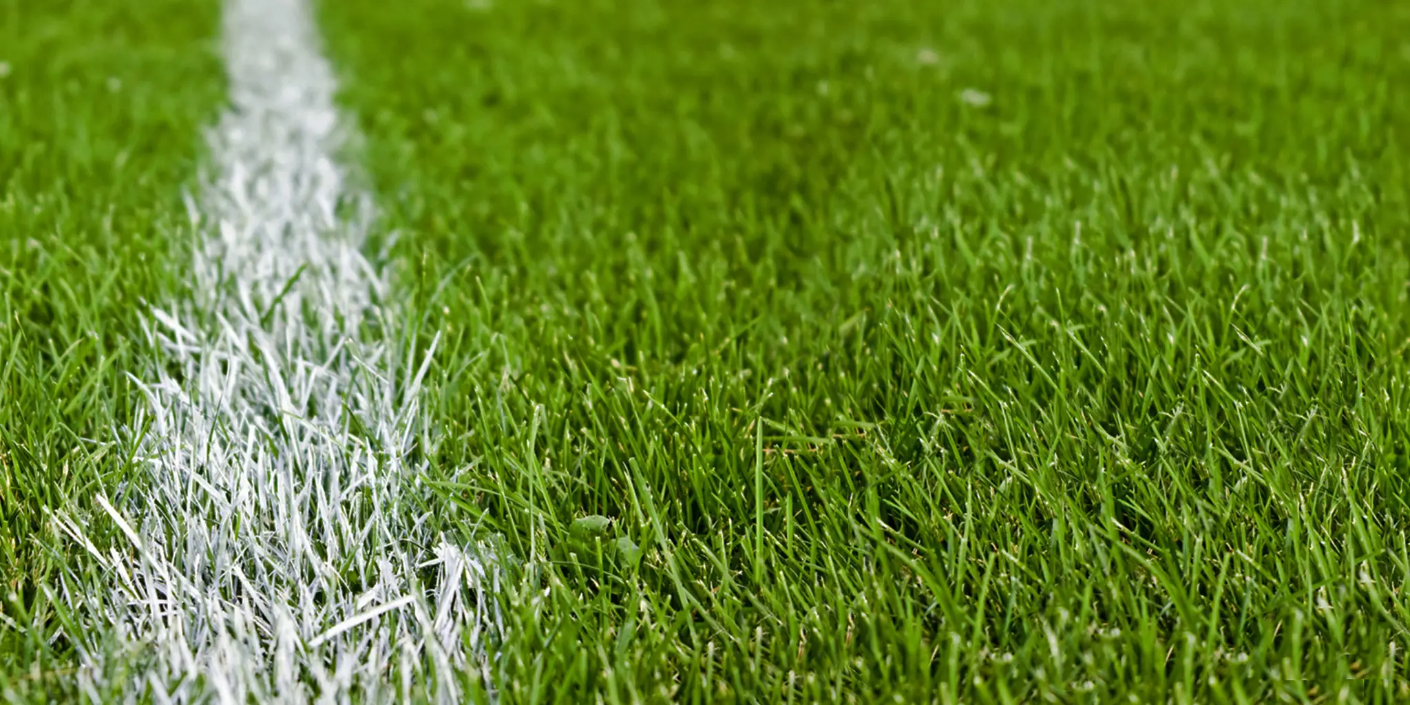 Monbulk Senior Football Netball Club