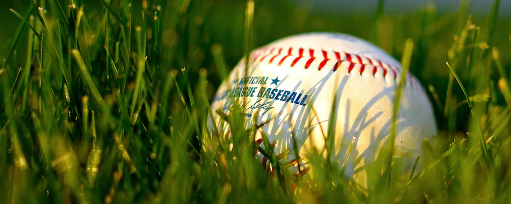 Baseball West Island Senior League