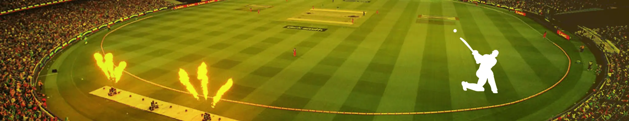 Turf Cricket Academy