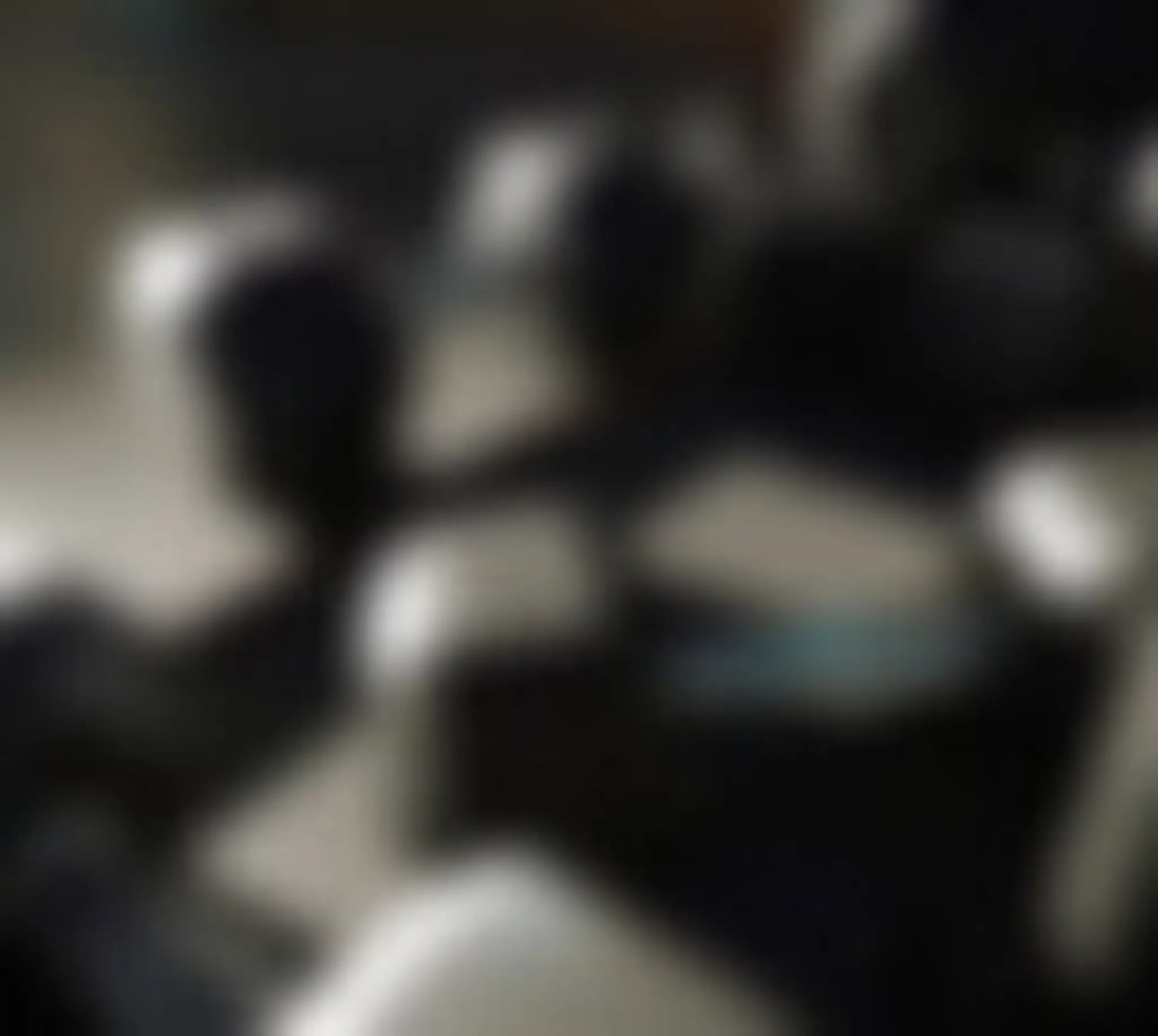 Allard Training System