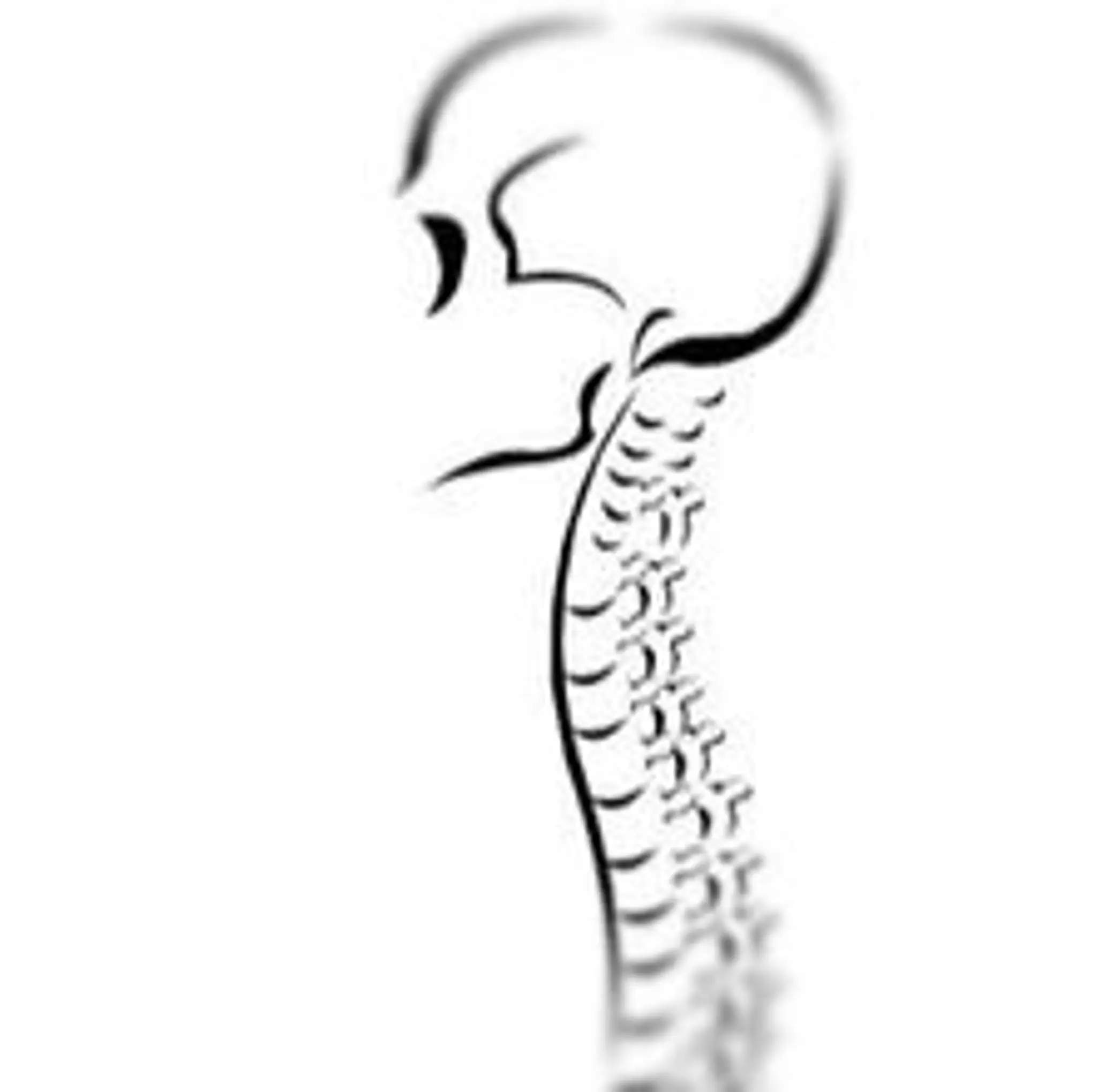 The Positive Health Therapy Centre