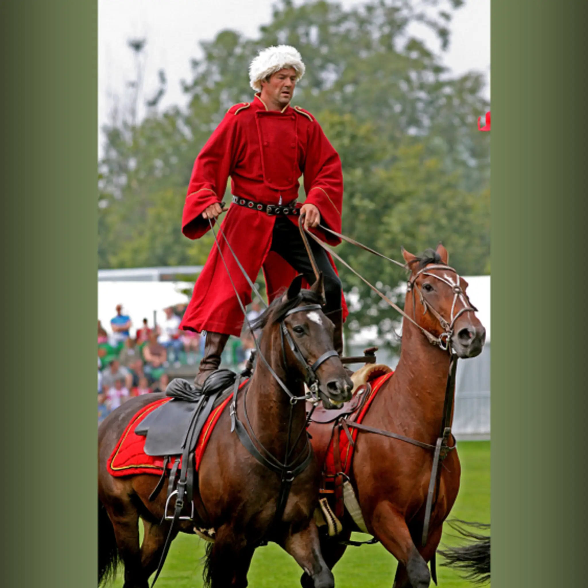 The company of horsemen ltd