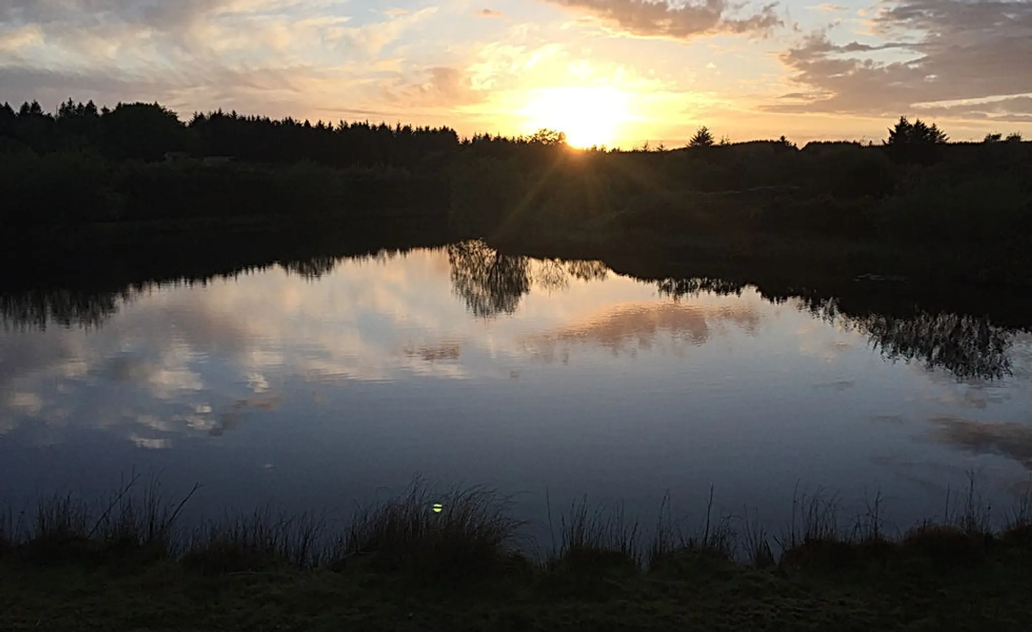 penuwch premier carp fishery
