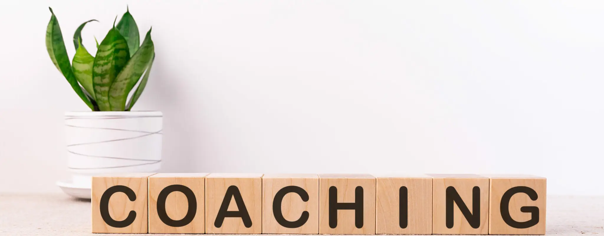 Charlotte Grenier coach de vie