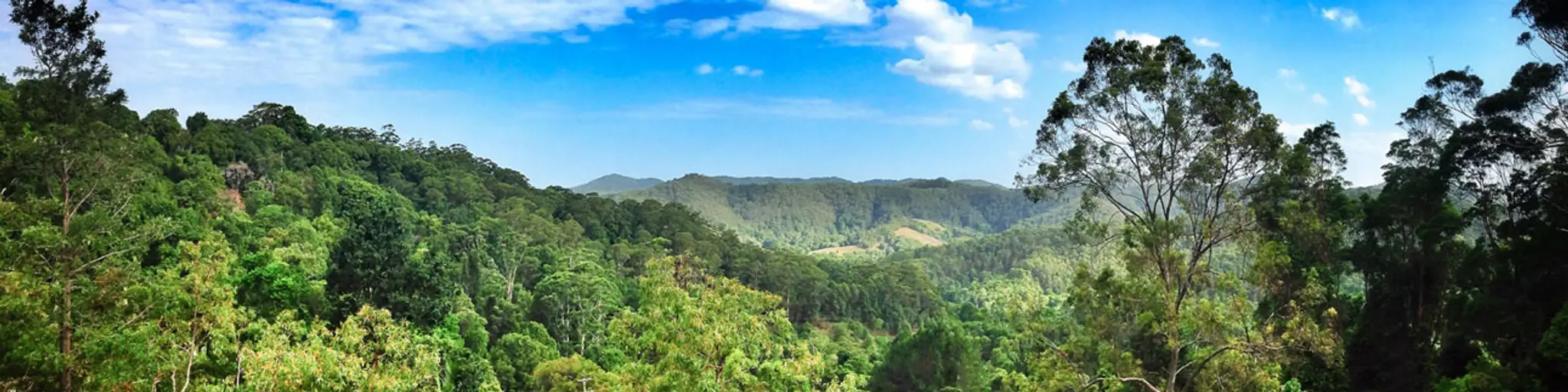 St Kilda Iyengar Yoga School