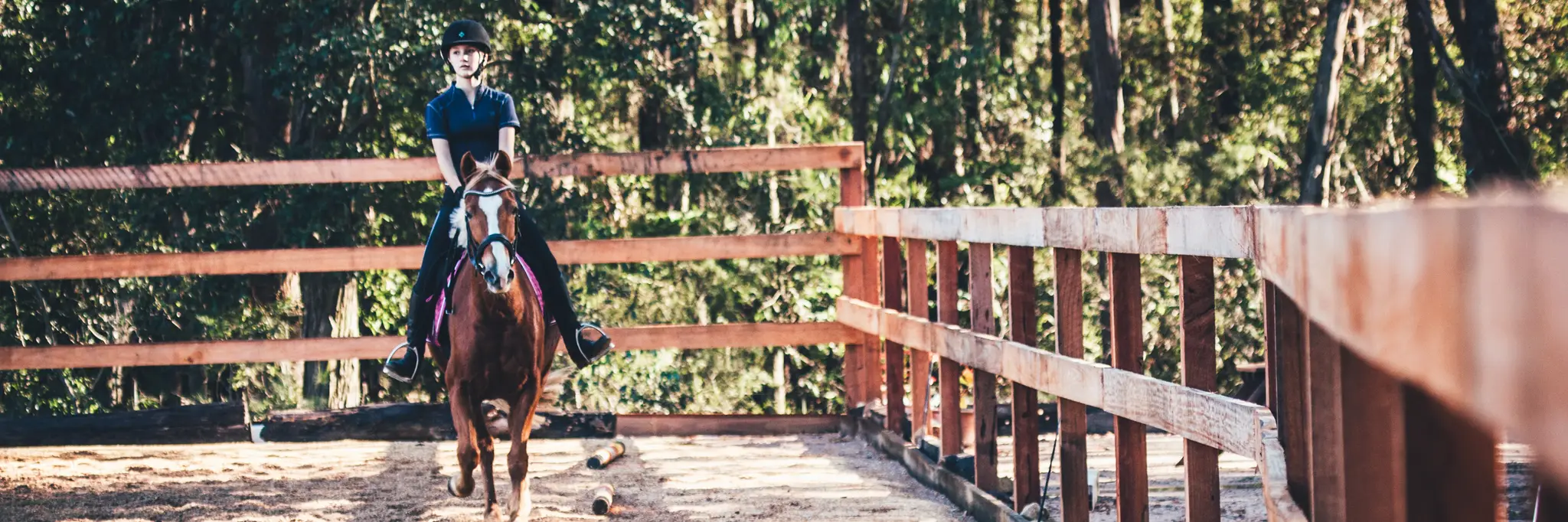 Sydney Riding School