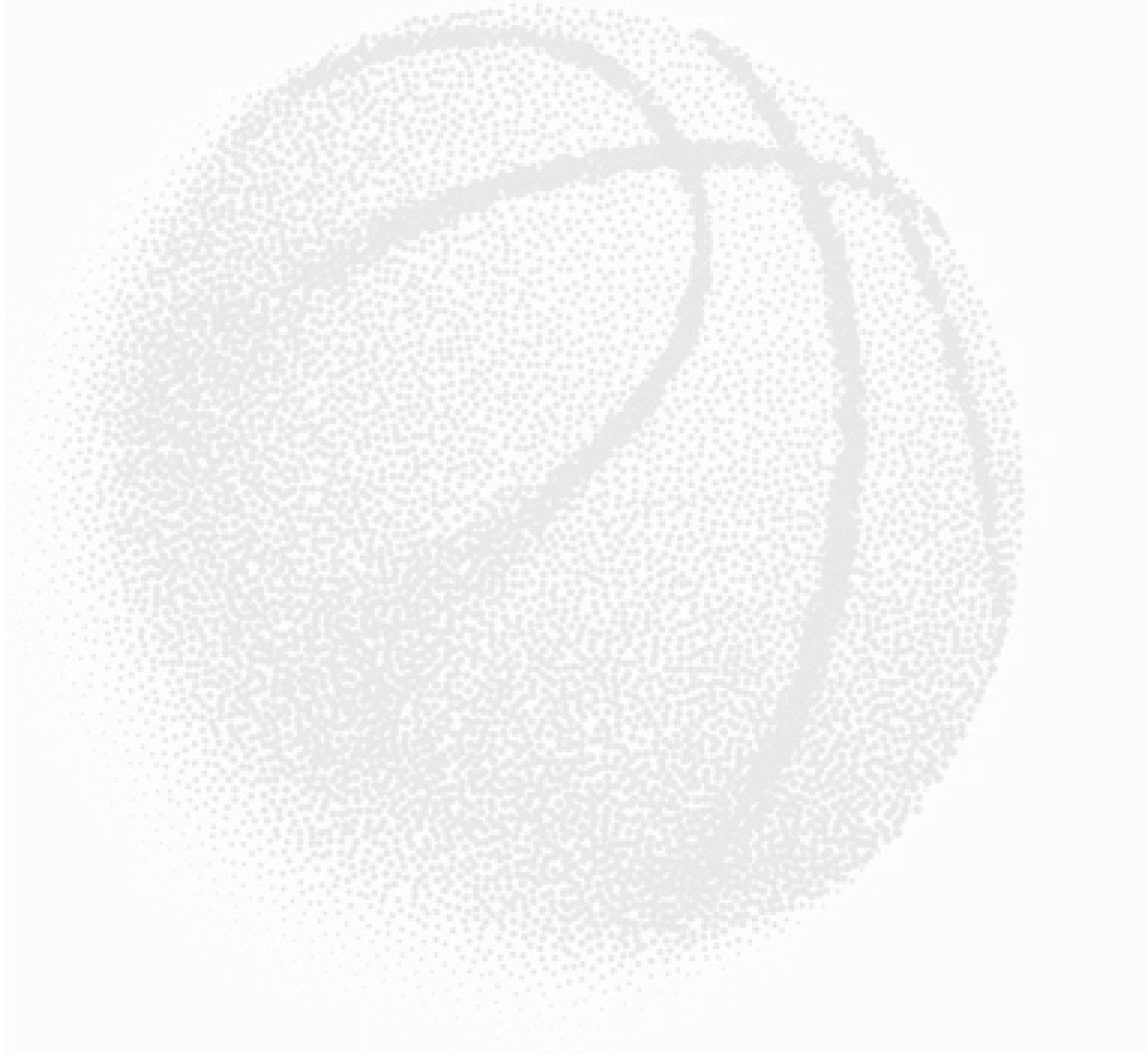 LONS BASKET