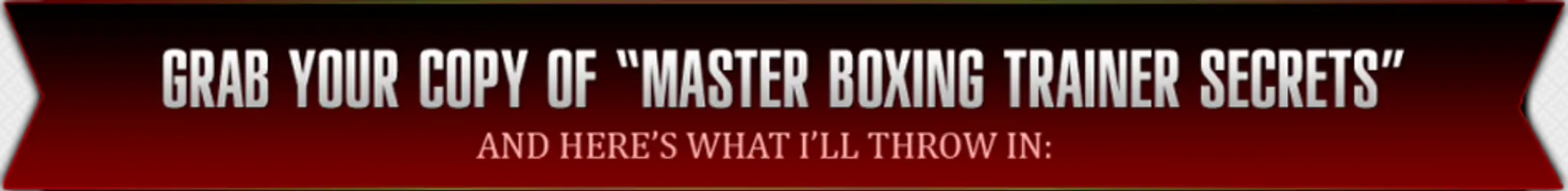 Master Boxing Trainer Secrets