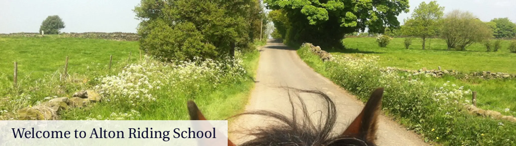 Alton Riding School