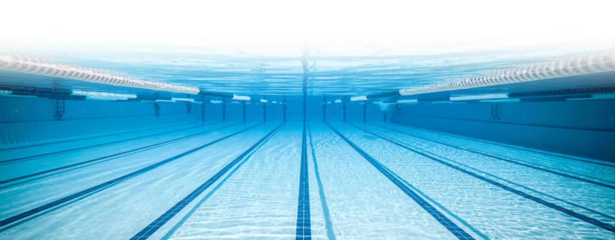 Swim Apex Aquatic Club (previously CCAC)