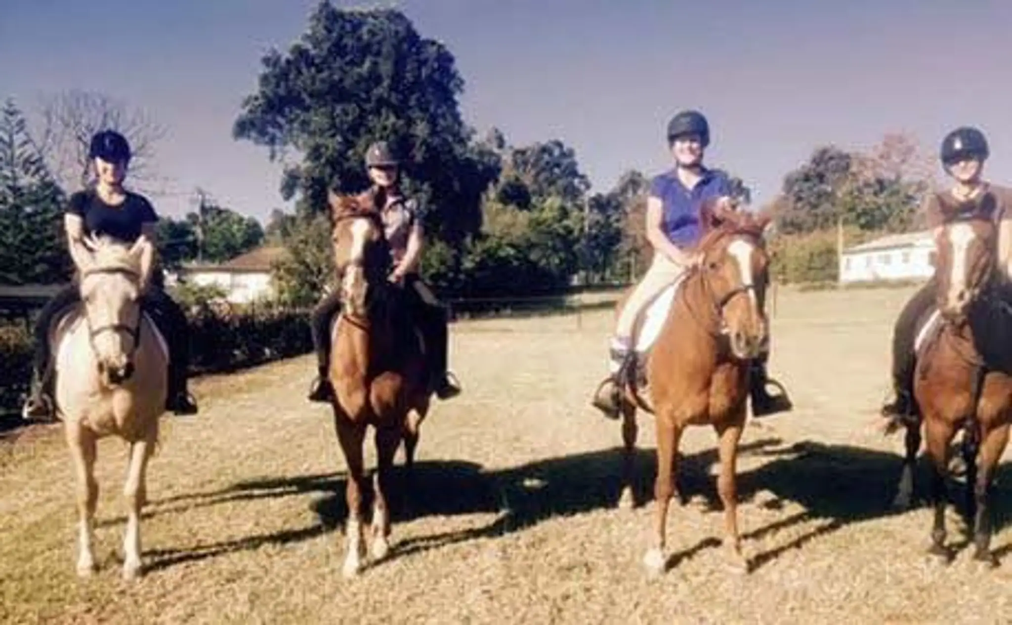 Sydney Hills Horse Riding Centre
