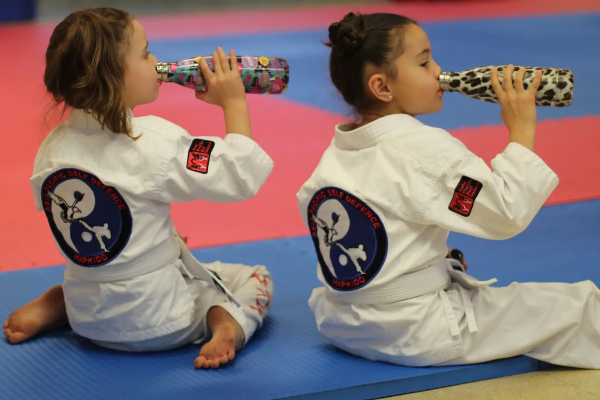 Centenary Martial Arts