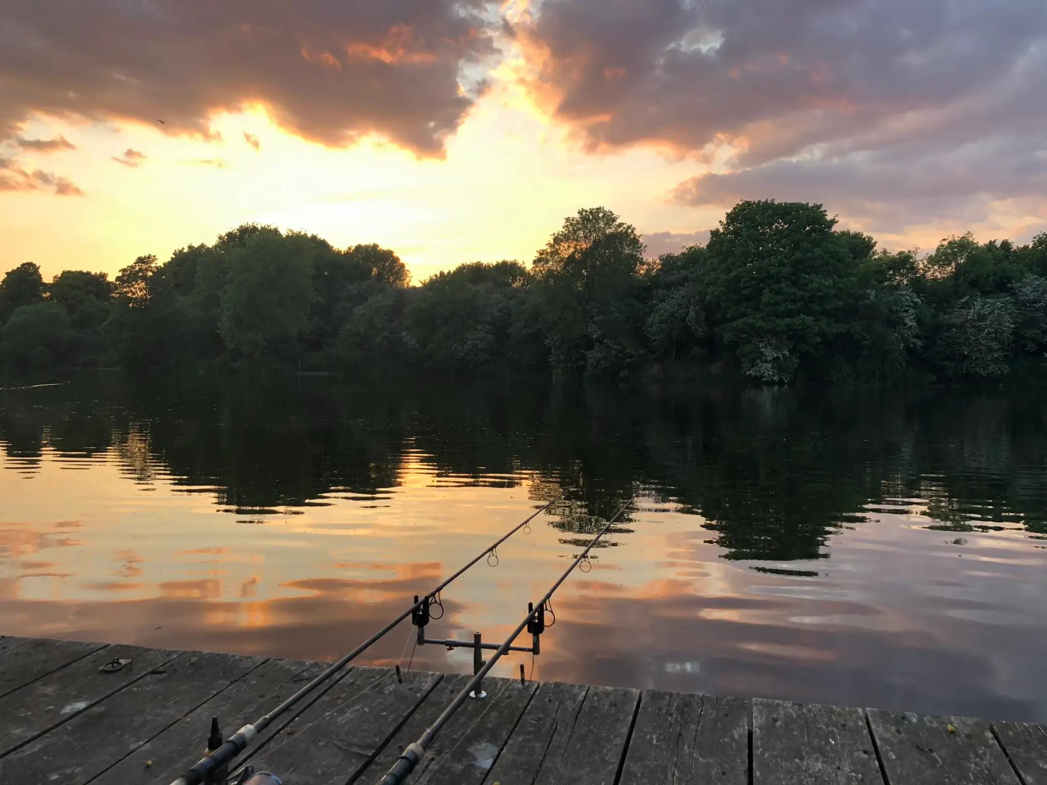 THE BARNES AND MORTLAKE ANGLING AND PRESERVATION SOCIETY