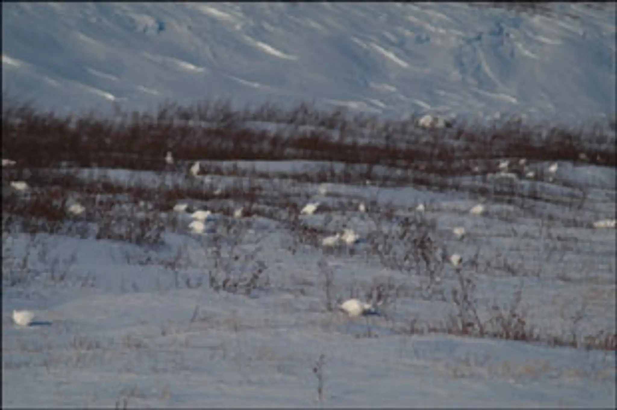 Leaf River Estuary Lodge