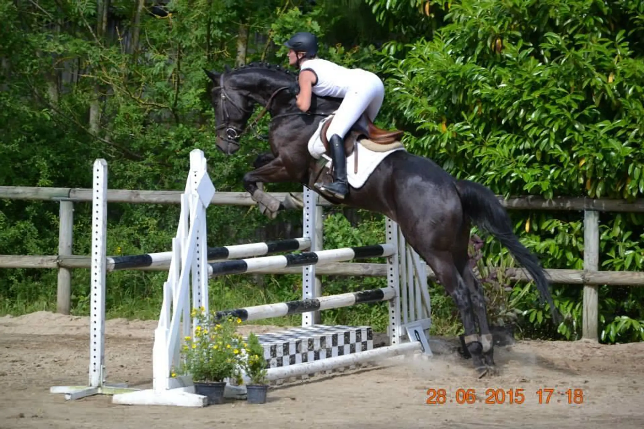 Centre Equestre de Crézancy
