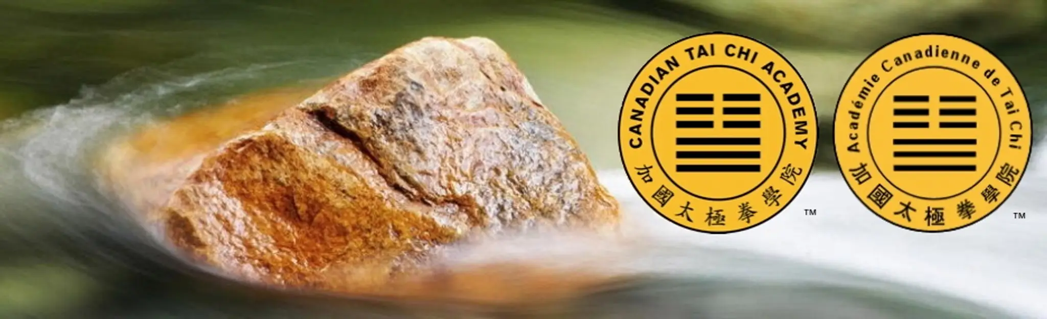 Canadian Tai Chi Academy