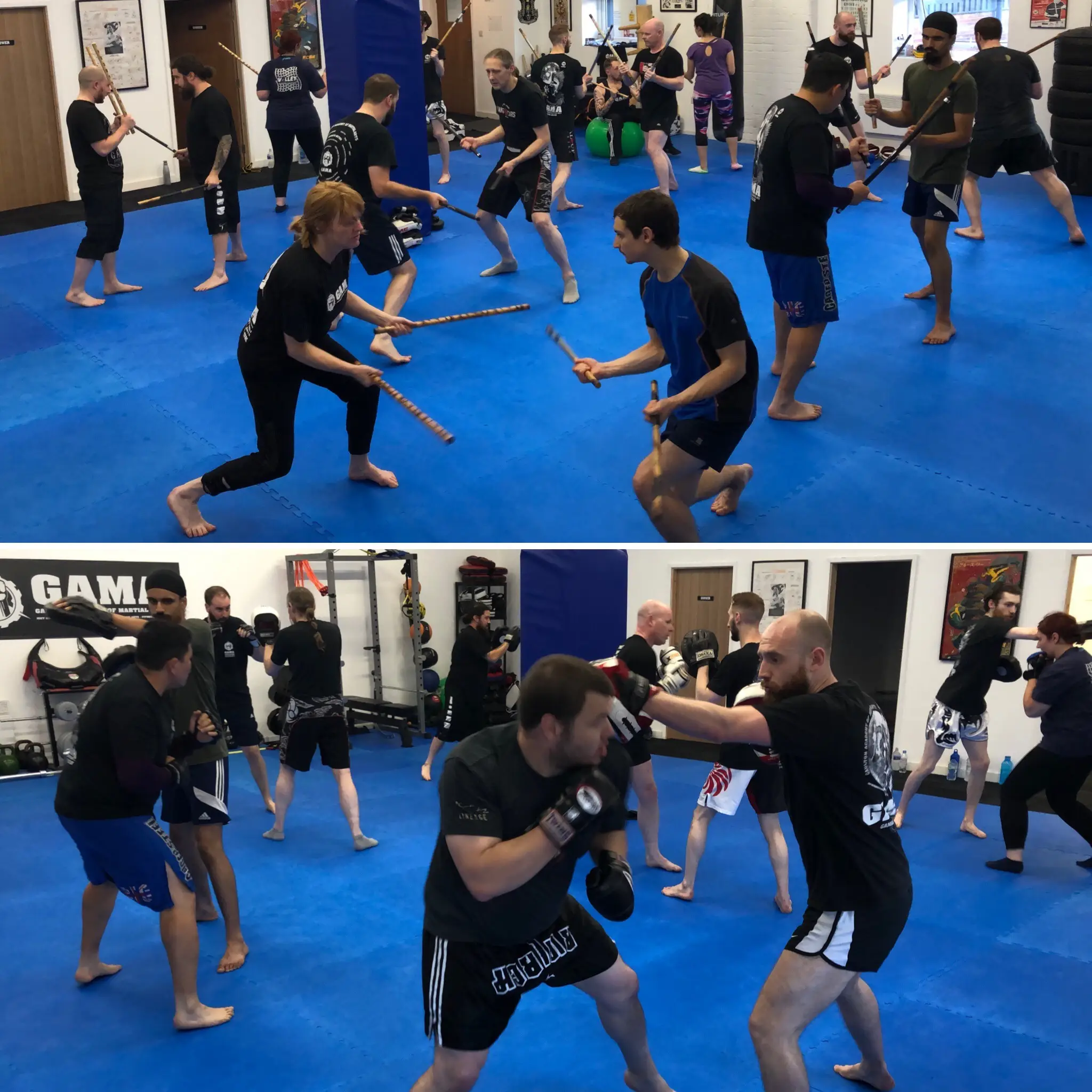 Gaulton Academy of Martial Arts