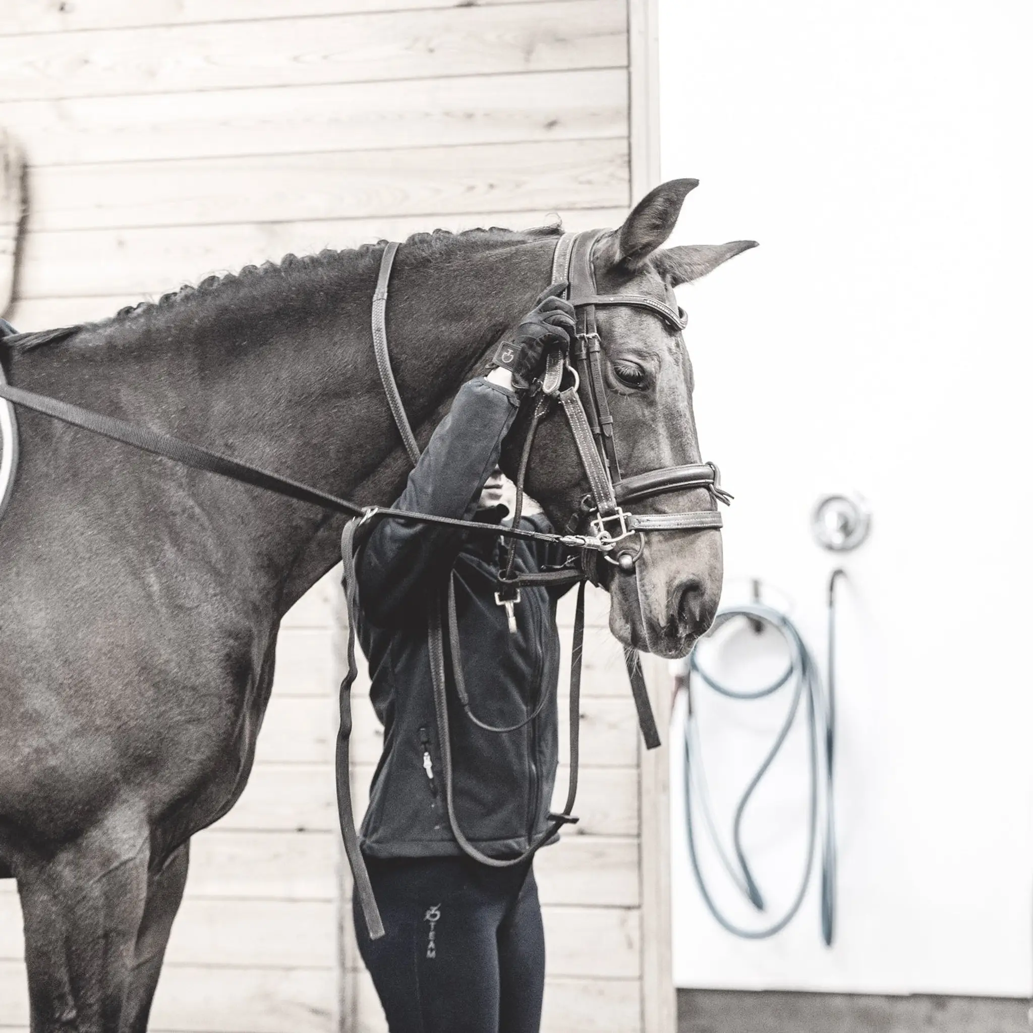 Centre Equestre Notre-Dame Inc
