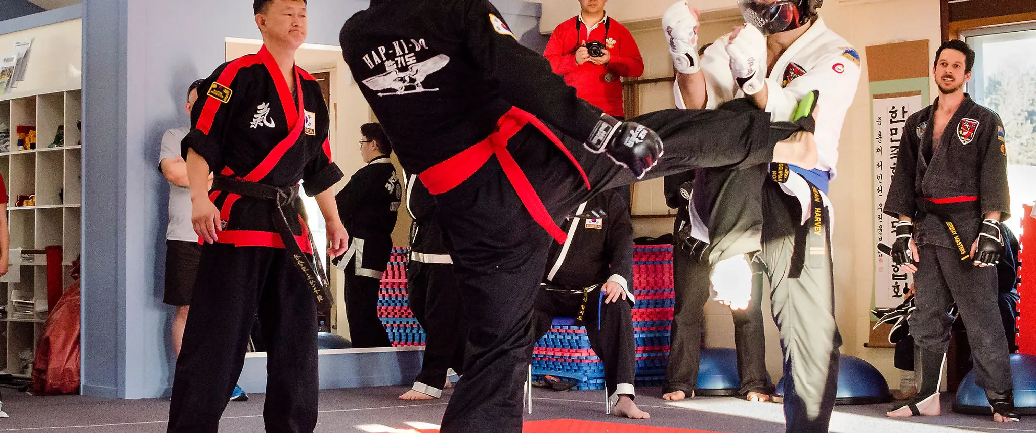 Hapkido Self Defence Wellington