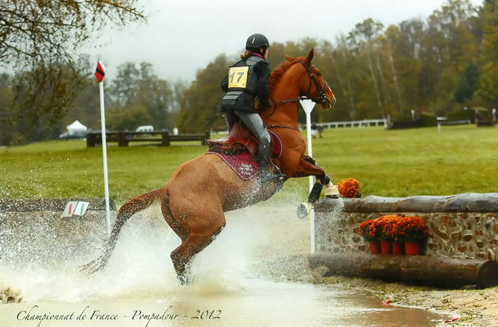 PONEY CLUB DU PETIT BOIS