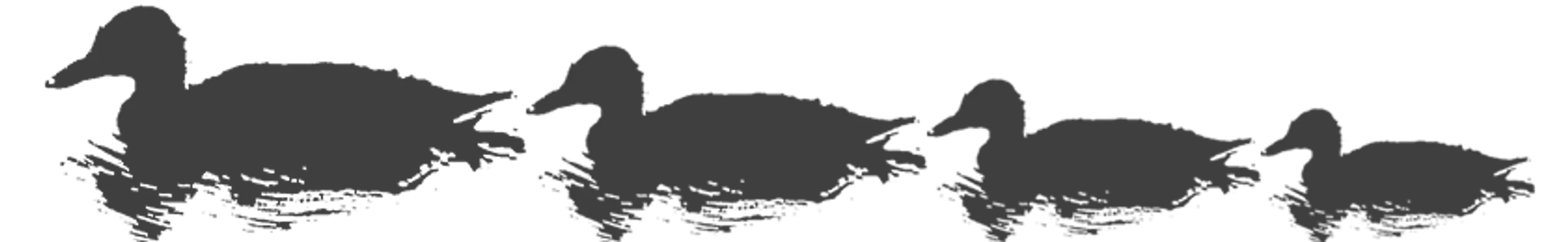 Lakeside Kitchen, Hydrotherapy Pool & Sensory Room