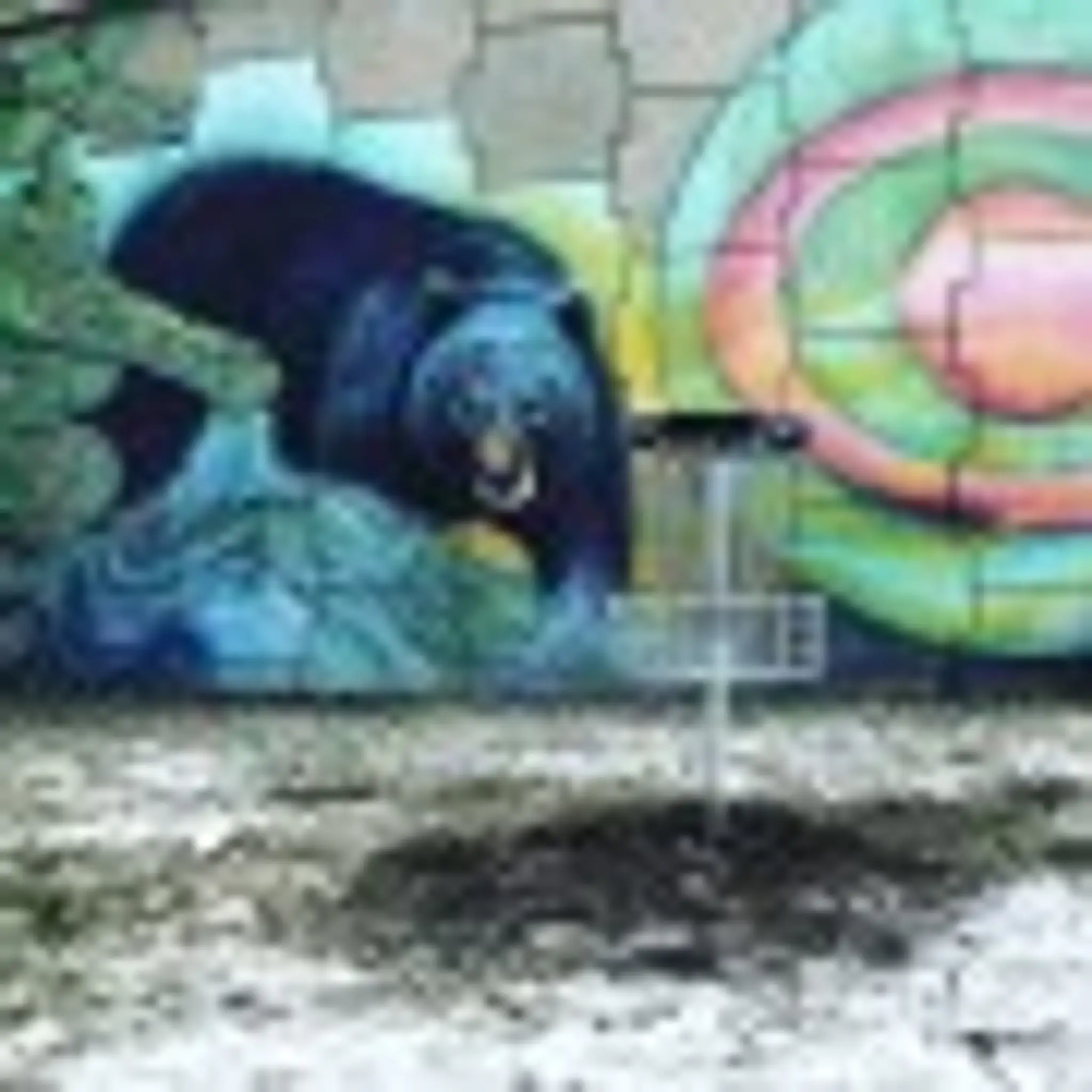 Lakewood Disc Golf Course