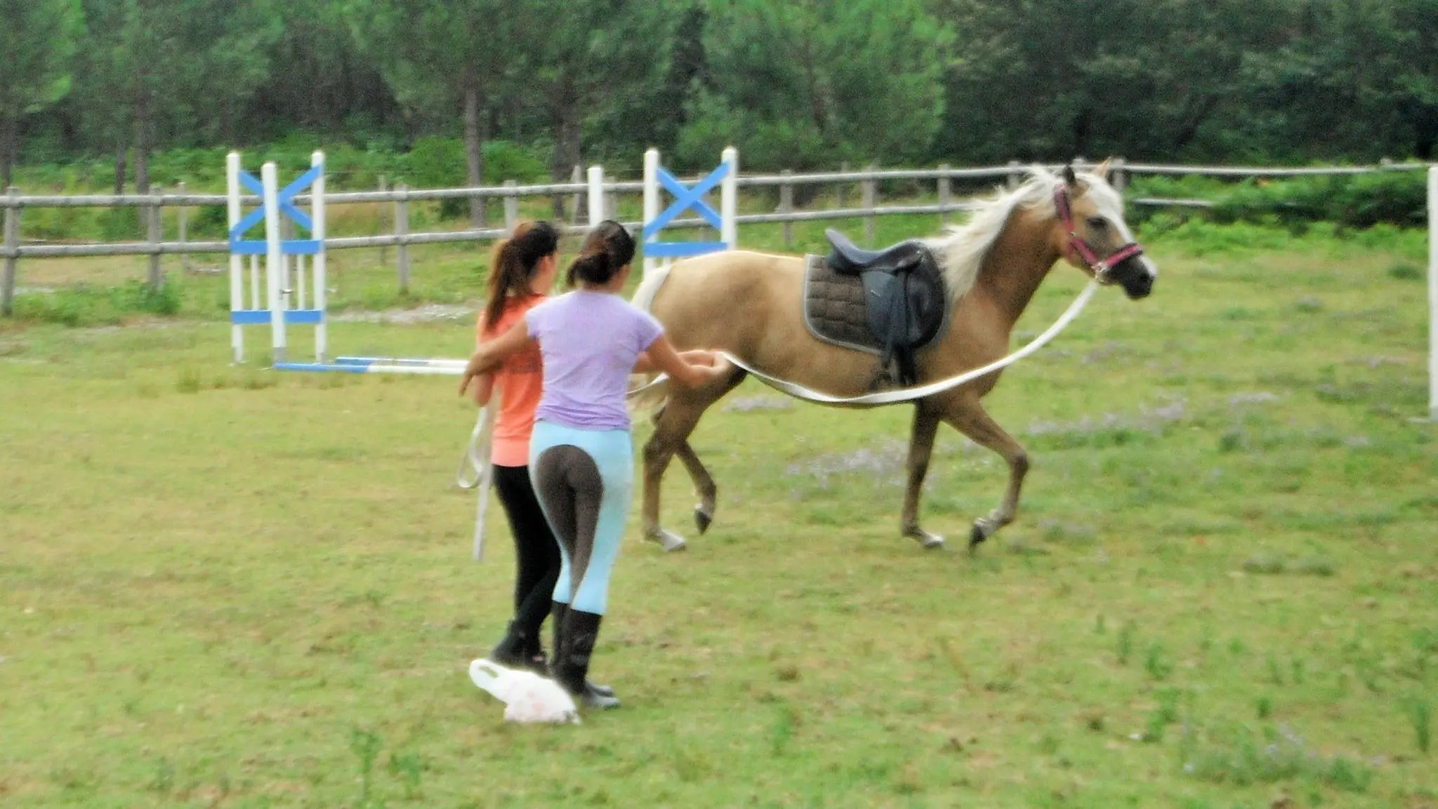Écurie Of La Clairière