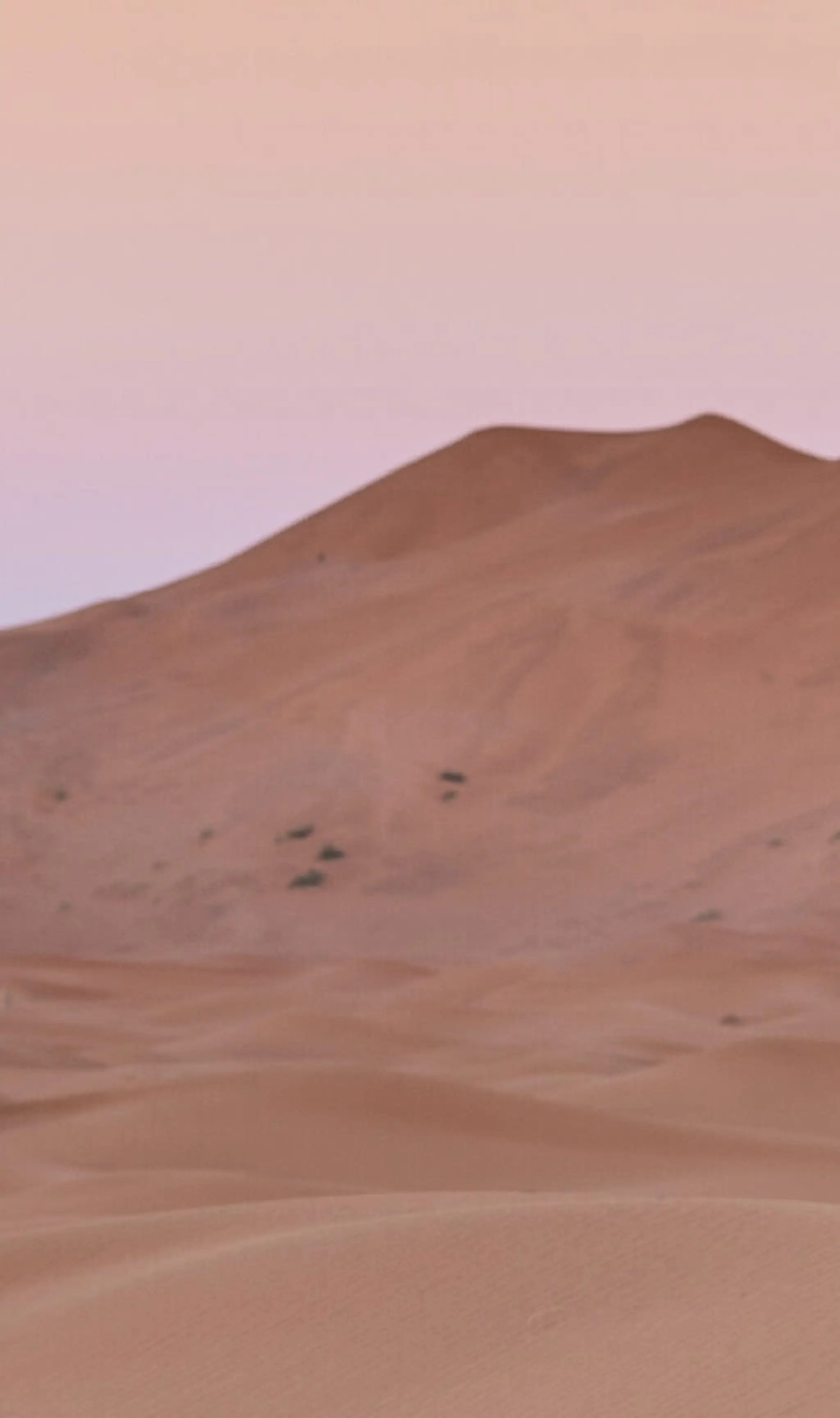 Ayudalma - Therapies Holistic And Yoga In Videoconferencing