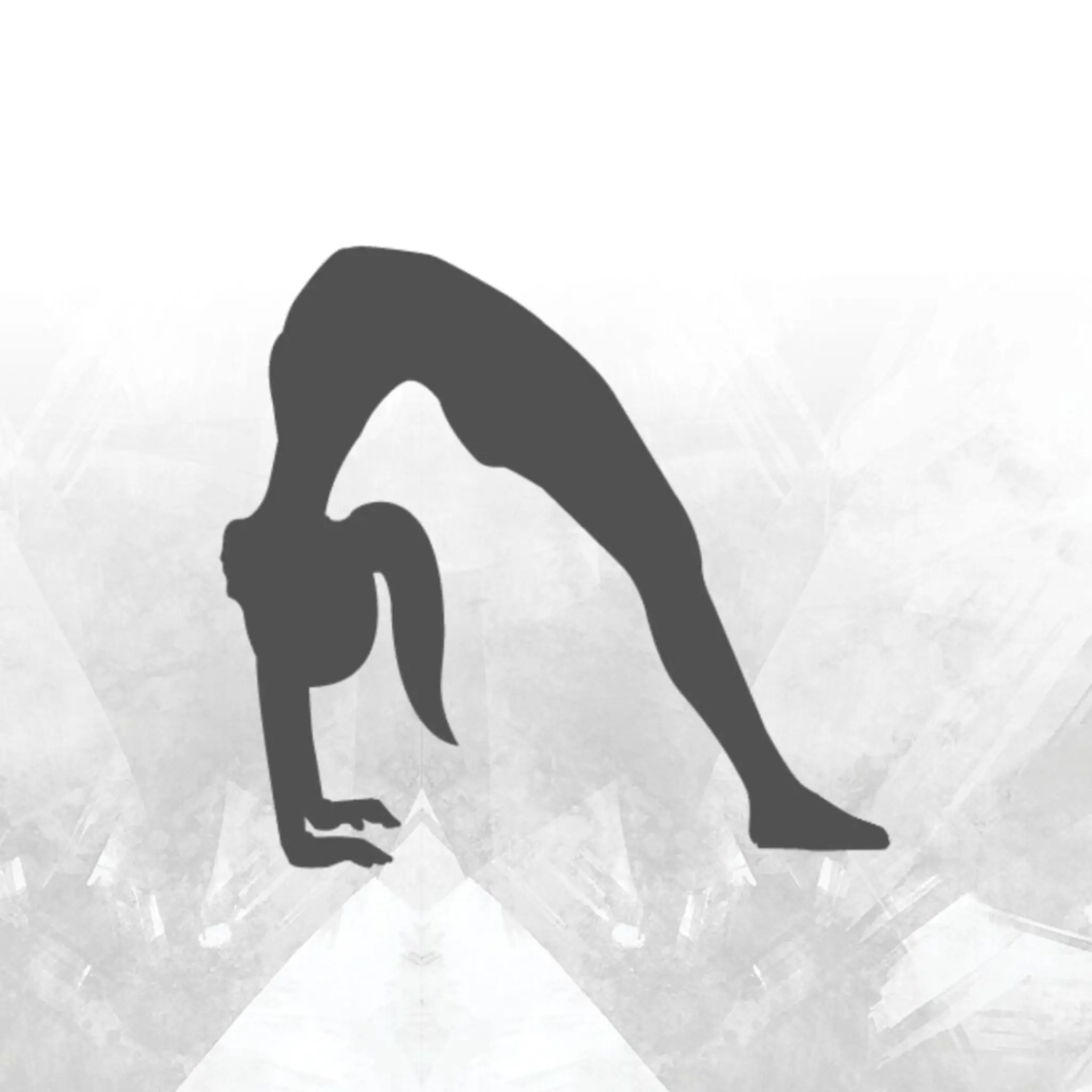 TRIBE Fitness and Dance Studio