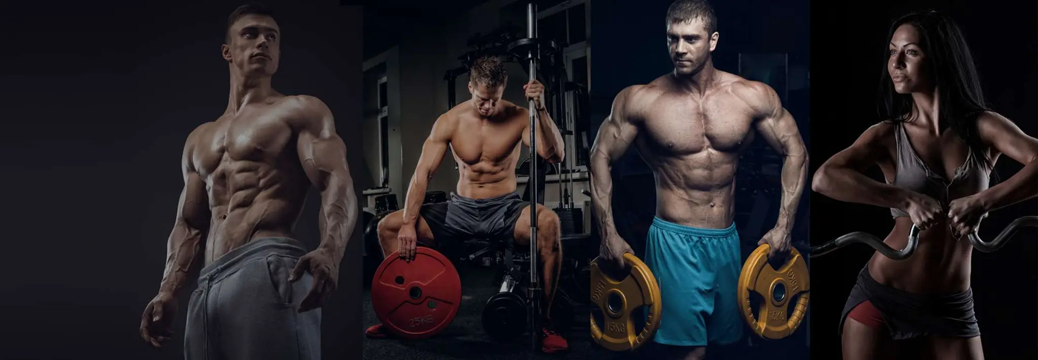 Fitking Exclusive Store - Fitness & Gym Equipment Supplier in Erode