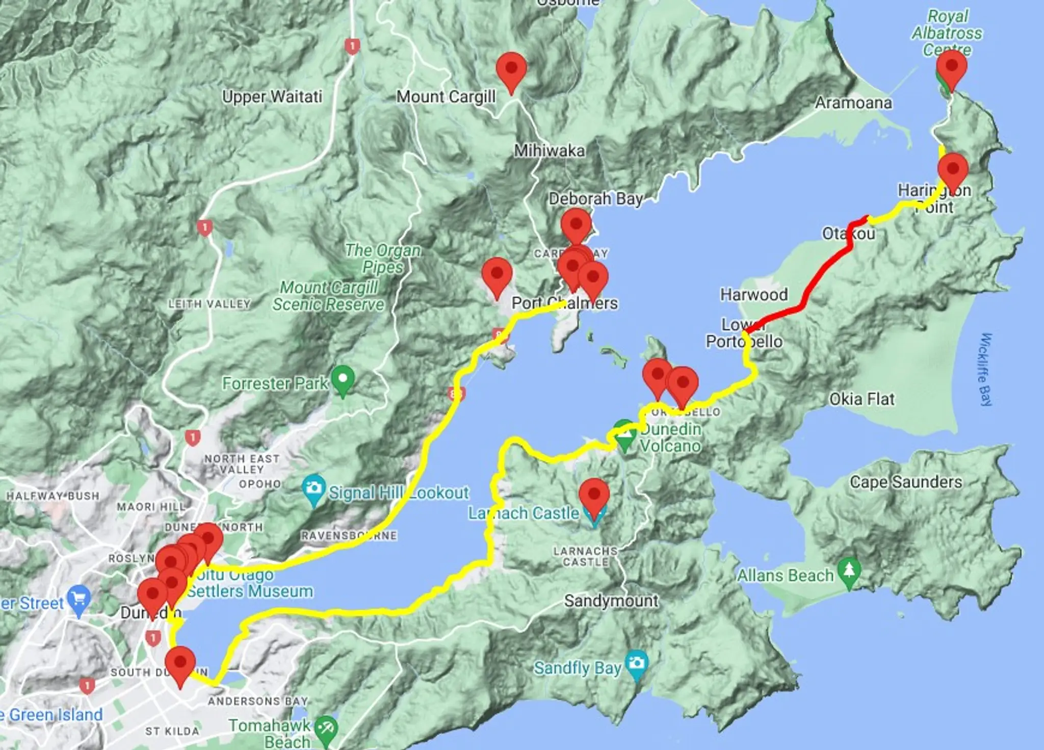Cycle The Loop Dunedin