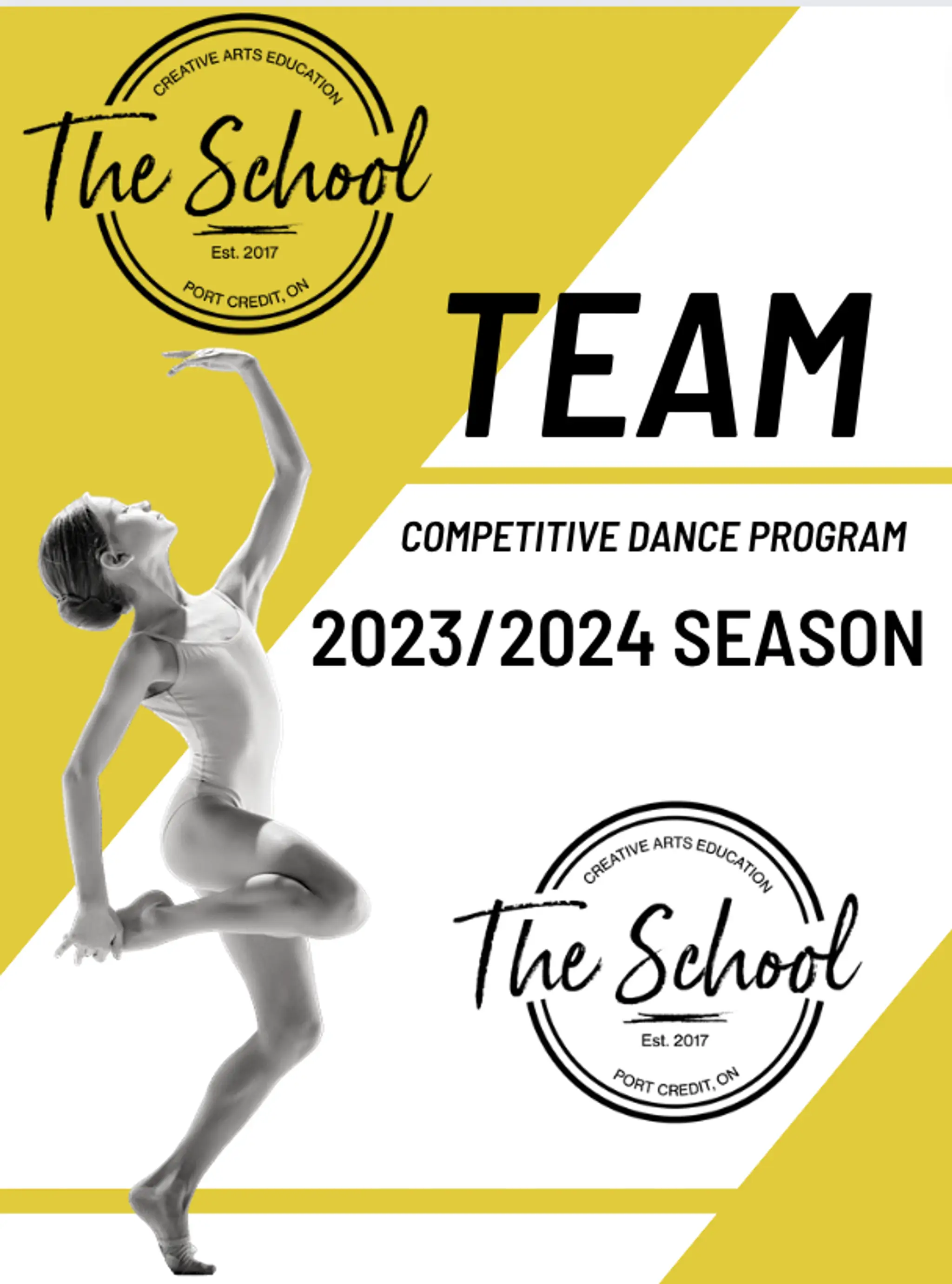 The School Creative Arts Education