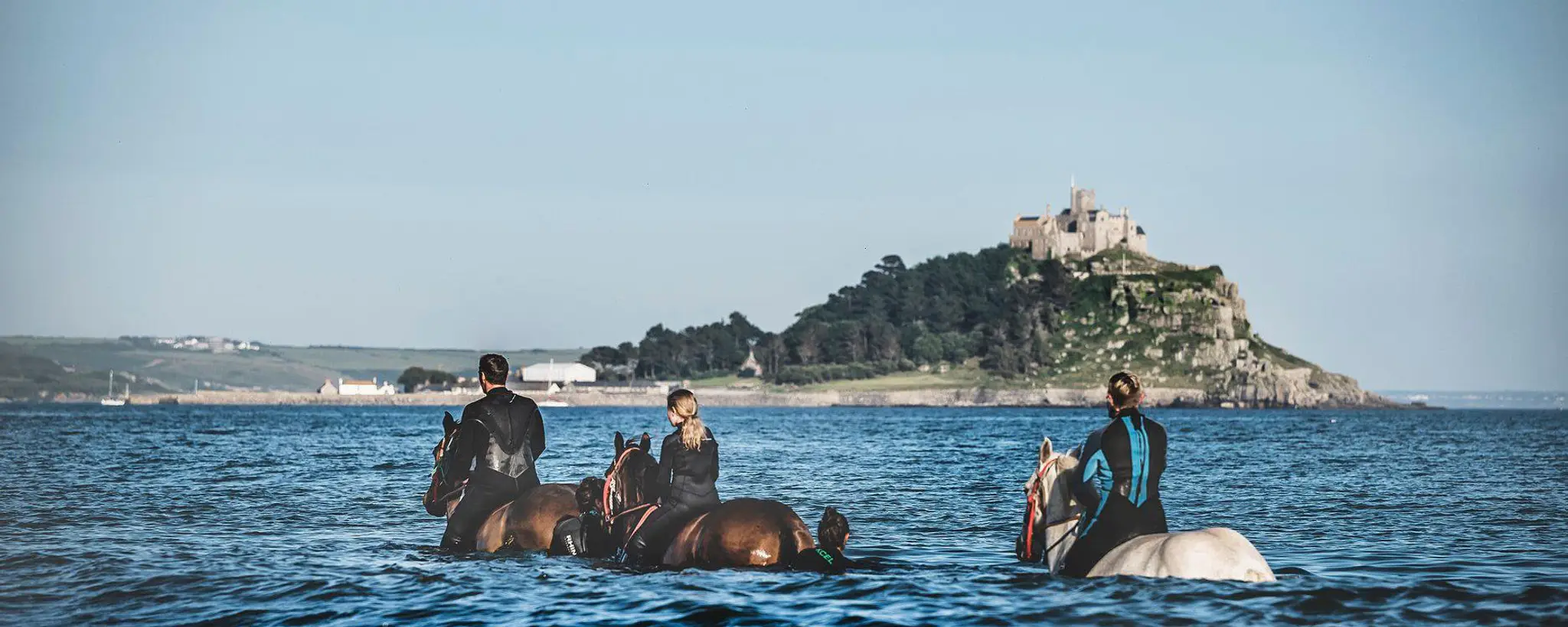 Cornwall Swimming Horses