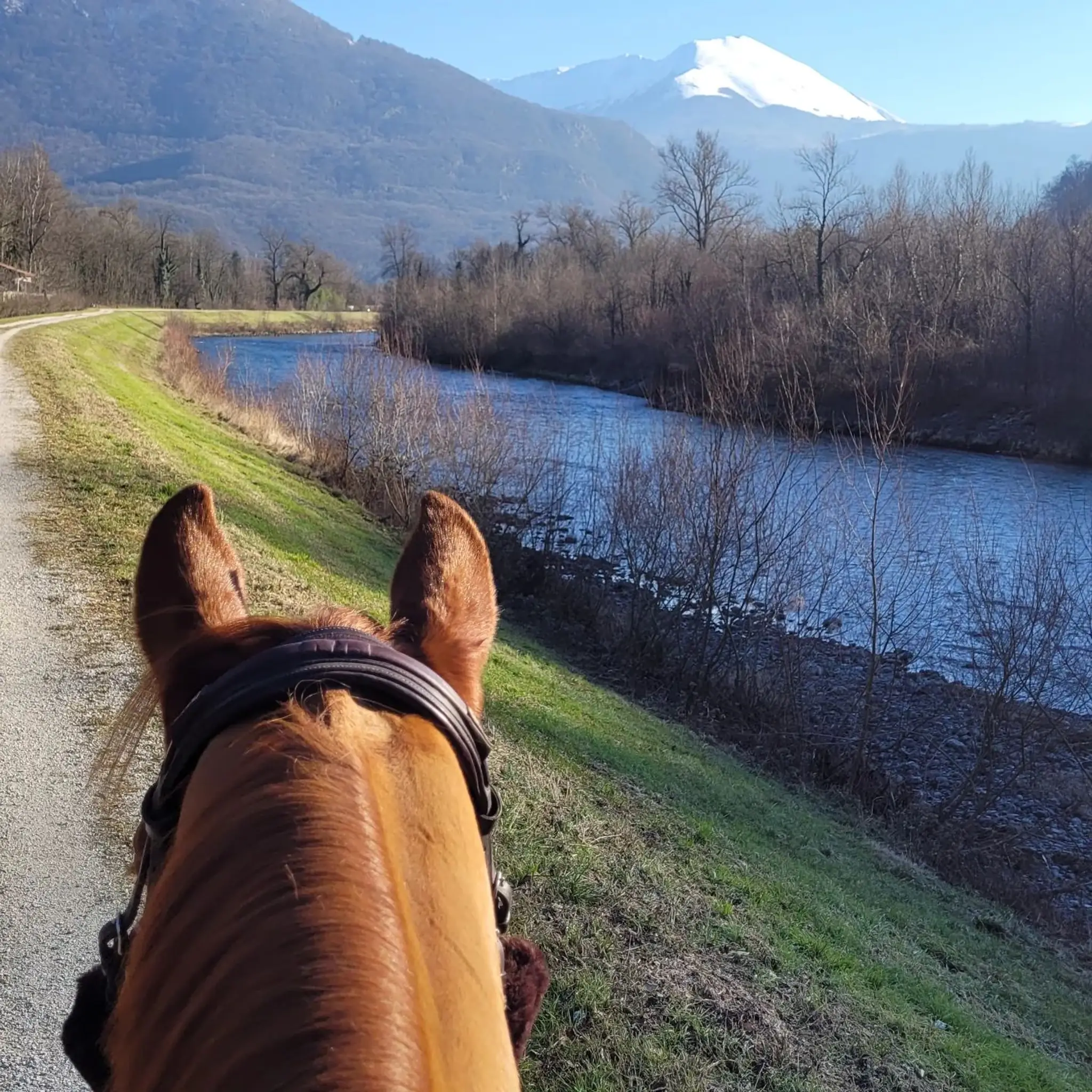 Equestrian Club 4 Fers