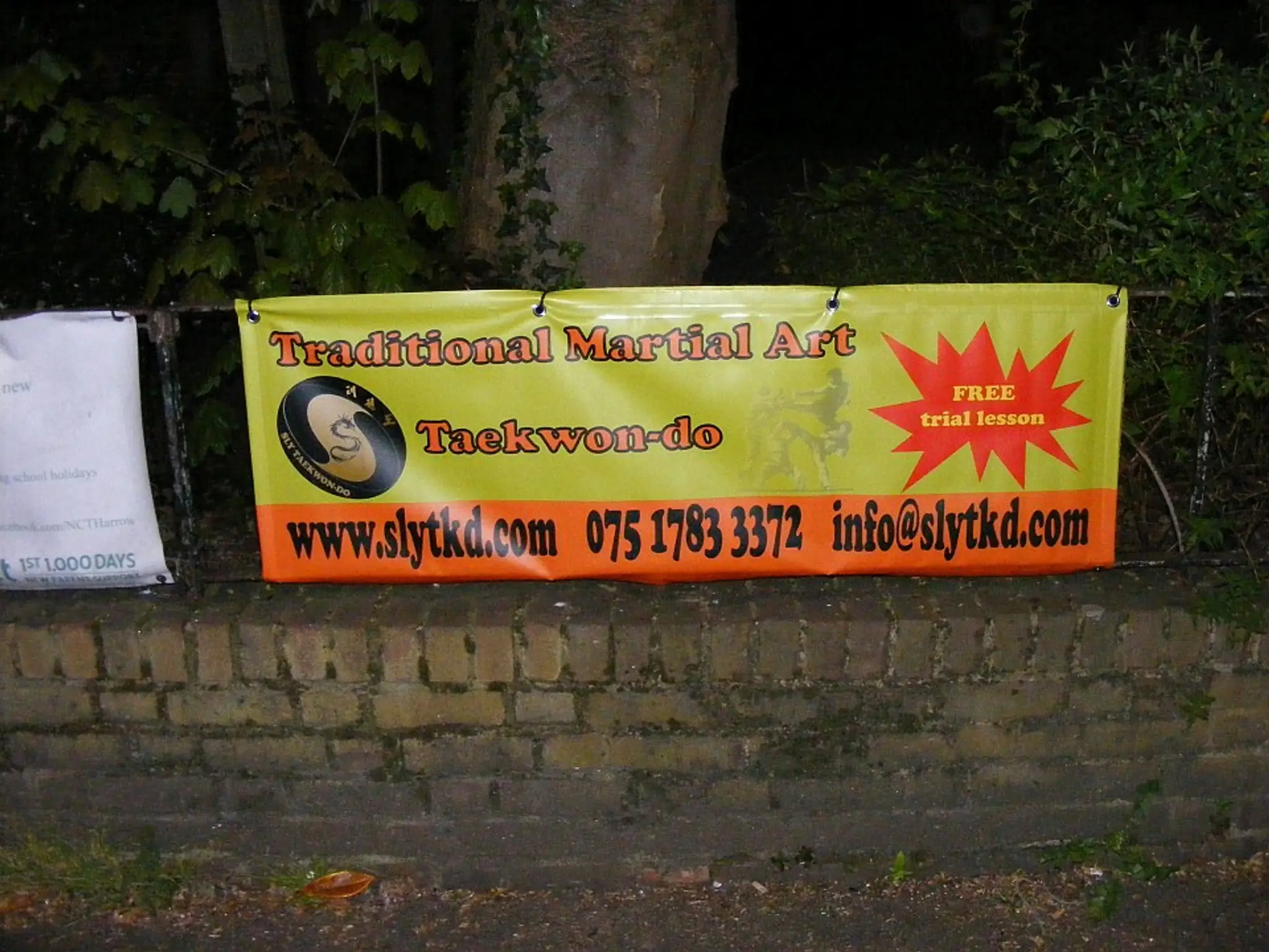 SLY Taekwon-do (Harrow)