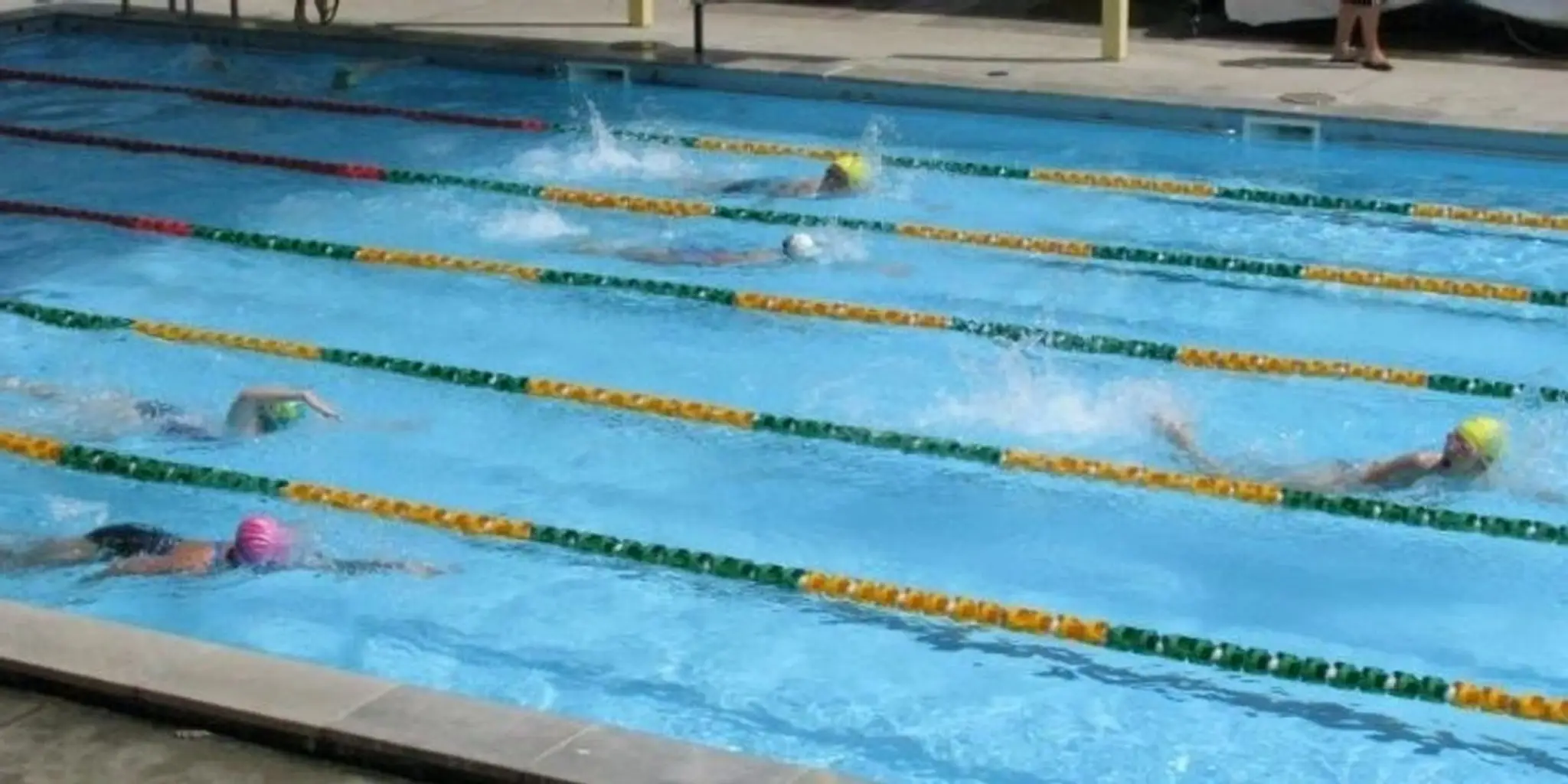 The Everton Park Sharks Swimming Club