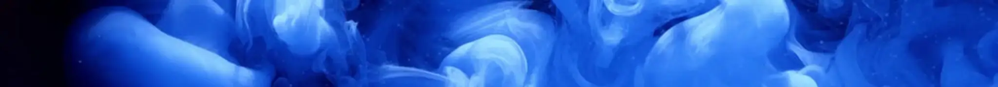 Indus Figure Skating Club