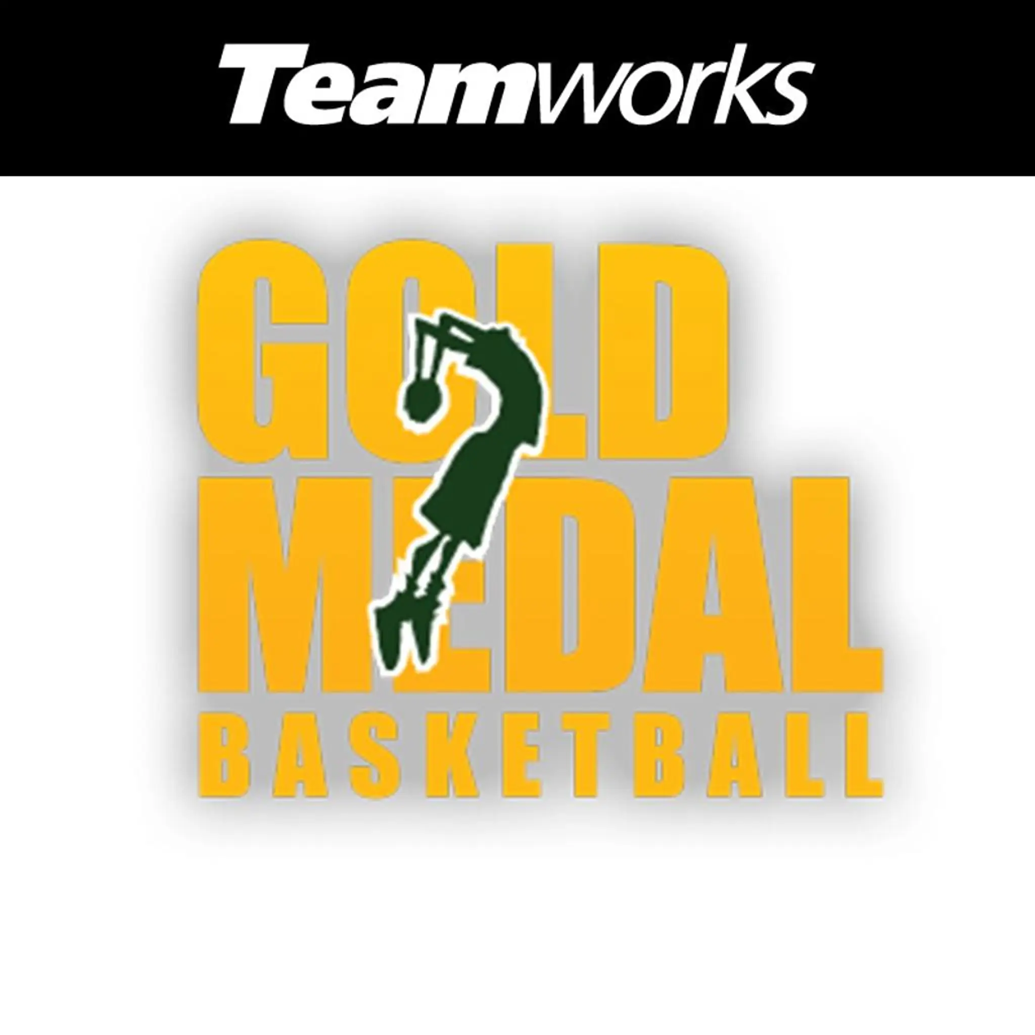 Gold Medal Basketball