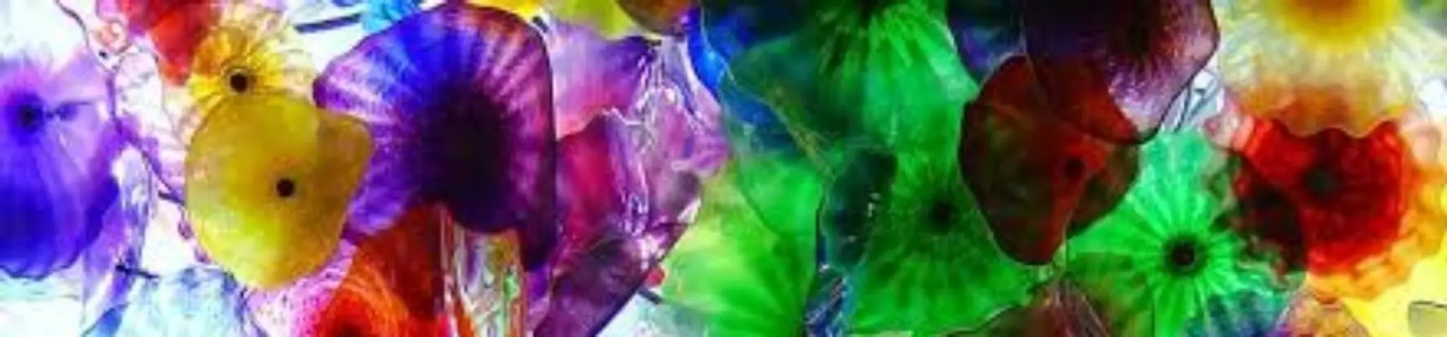 Rosie Belly Dance Classes Norwich